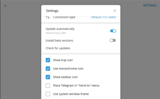 Telegram UI showing Version 6.0.2.