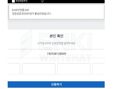 Kimsuky Hackers Use Weaponized QR Codes to Distribute Malicious Mobile Apps 5 Fake authentication screen.