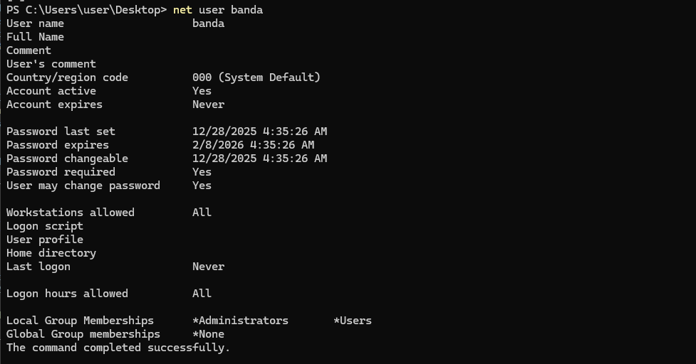 Privilege escalation attacks