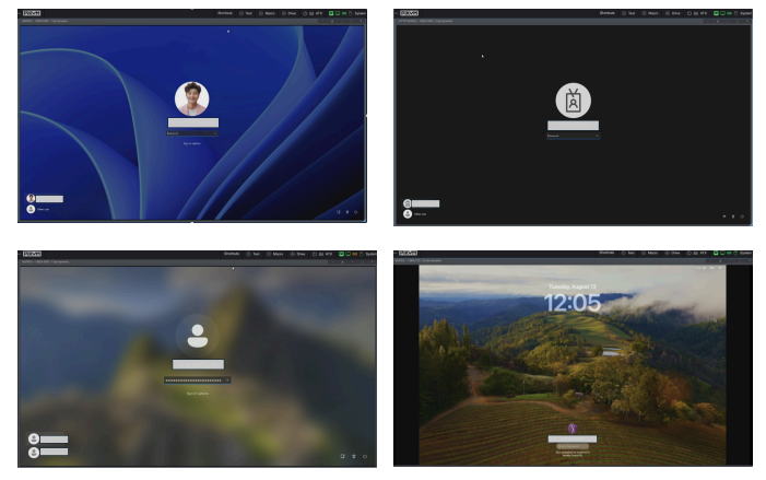 Screenshots of four employee profiles on different laptops administered by PiKVM machines at the
laptop farm (Source : Nisos).