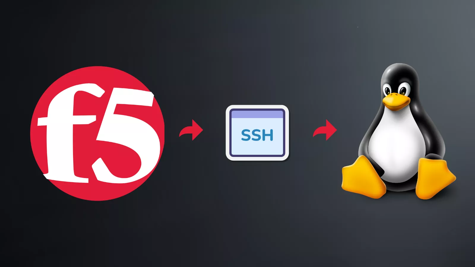 Hackers Exploit F5 BIG-IP for SSH Access and Lateral Movement into Linux Networks