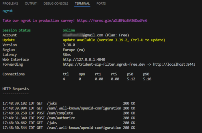 Ngrok exposes the local provider behind one public HTTPS address (Source : Varonis).